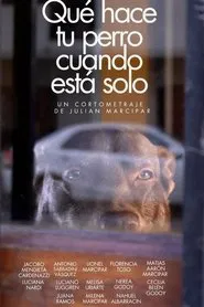 Qué hace tu perro cuando está solo movie poster