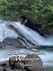 Poster do filme Skykomish River Ambience