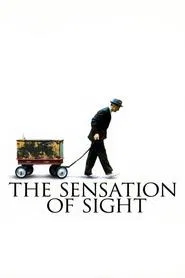 The Sensation of Sight movie poster