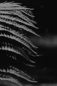 emergence movie poster