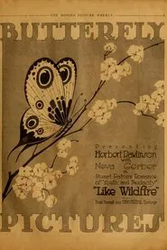 Like Wildfire movie poster