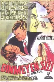 Poster do filme Dinmeyen Sızı