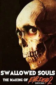 Swallowed Souls: The Making of Evil Dead 2 movie poster