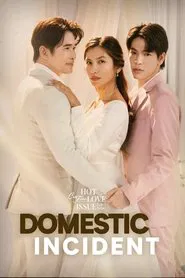 Domestic Incident tv show poster