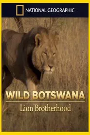 Lion Brotherhood movie poster