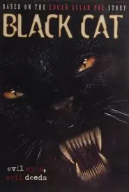 Black Cat movie poster