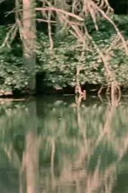 Porter Springs 3 movie poster