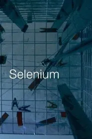 Poster do filme Selenium
