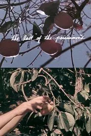 The Last of the Persimmons movie poster