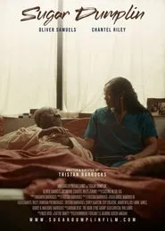 Sugar Dumplin movie poster