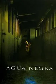 Poster do filme Dark Water - Água Negra