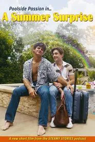 A Summer Surprise movie poster