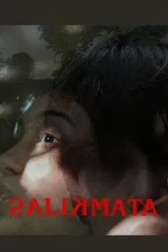 Poster do filme Unseen