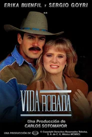 Stolen life tv show poster