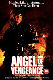 Angel of Vengeance movie poster