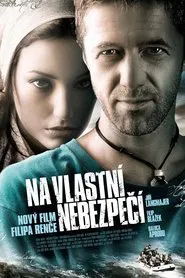 At Your Own Risk movie poster