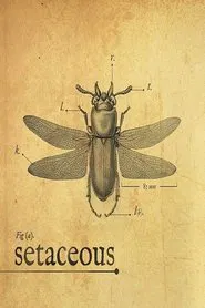 Setaceous movie poster