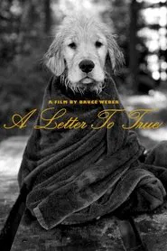 A Letter to True movie poster