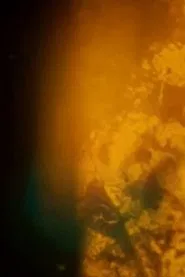 Poster do filme Particles