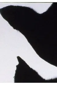 Errata movie poster