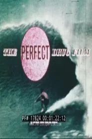 The Perfect Drug Film movie poster