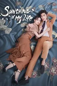 Sunshine of My Life tv show poster