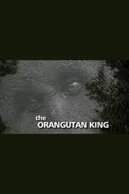 The Orangutan King movie poster
