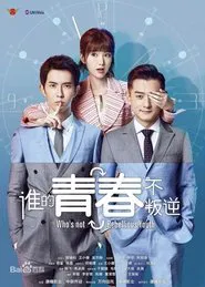 Who's not Rebellious Youth tv show poster