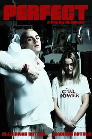Perfect movie poster