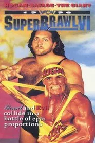 WCW SuperBrawl VI movie poster