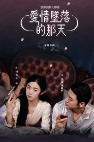 Sudden Love tv show poster