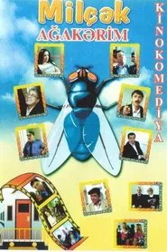 Fly movie poster