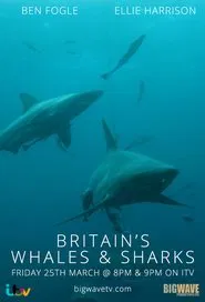 Operation Whale tv show poster