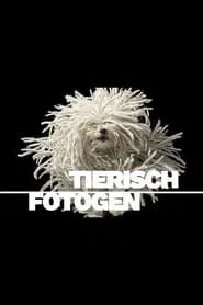 Animal Art: Photogenic Creatures tv show poster