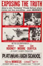 Platinum High School movie poster