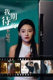 我期待的不是雪 tv show poster