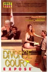 Poster do filme Divorce Court Expose