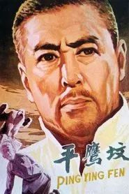 平鹰坟 movie poster