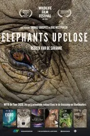 Elephants Up Close movie poster