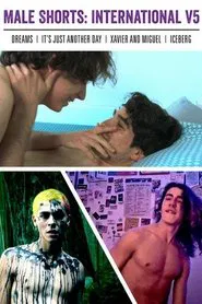 Poster do filme Male Shorts: International V5