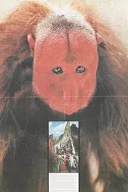 Ceremonia movie poster