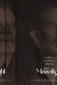 In The Moonlight movie poster