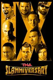 TNA Slammiversary IX movie poster