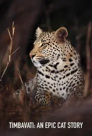 Big Cats of the Timbavati tv show poster