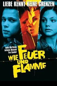 Never Mind the Wall movie poster