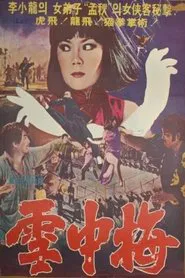 Snow Plum Blossom movie poster