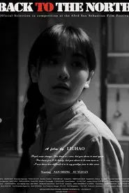 Back to the North movie poster
