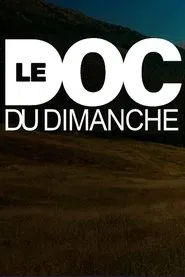 Le Doc du dimanche tv show poster