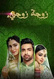 Bahu Begum tv show poster