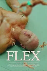 Poster do filme Flex